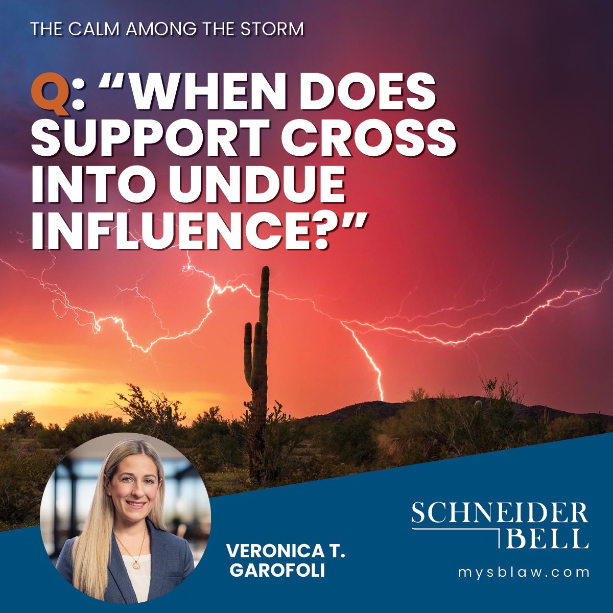 Q: When does support cross into undue influence? The Calm Among the Storm Litigation Blog