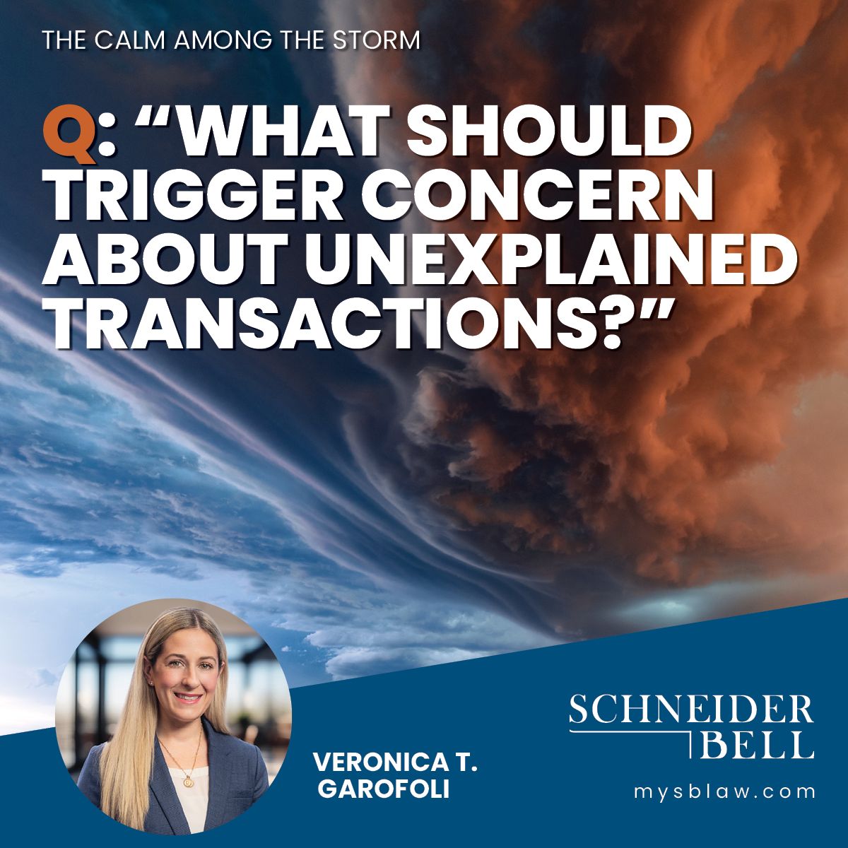 The Calm Among The Storm Blog: What should trigger concern about unexplained transactions?