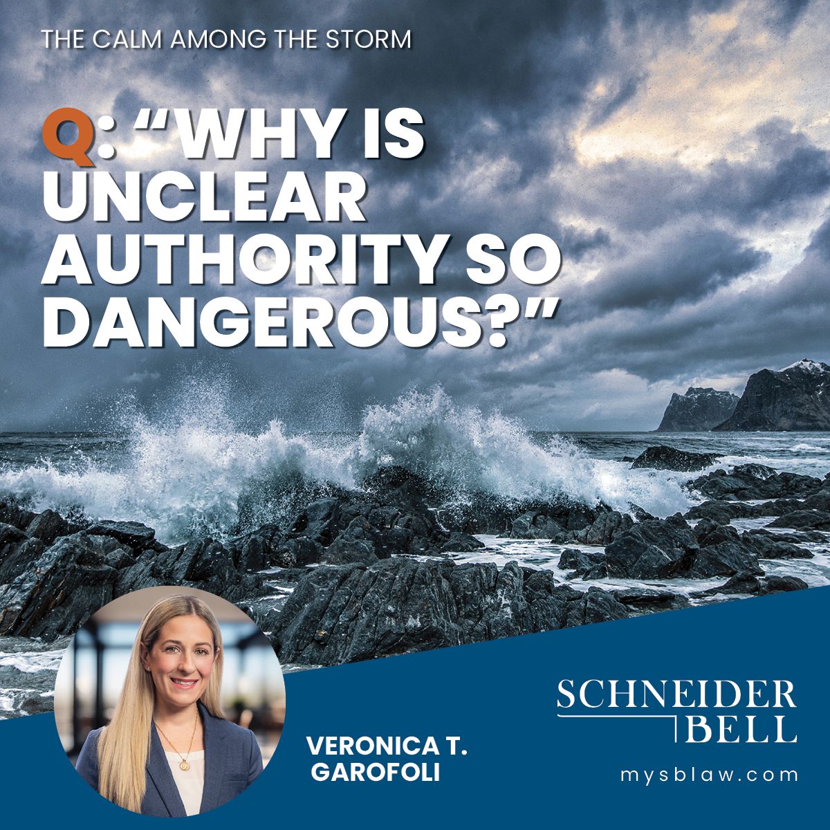 Why is unclear authority so dangerous? The Calm Among the Storm Litigation Blog