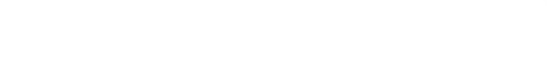 Primerus logo